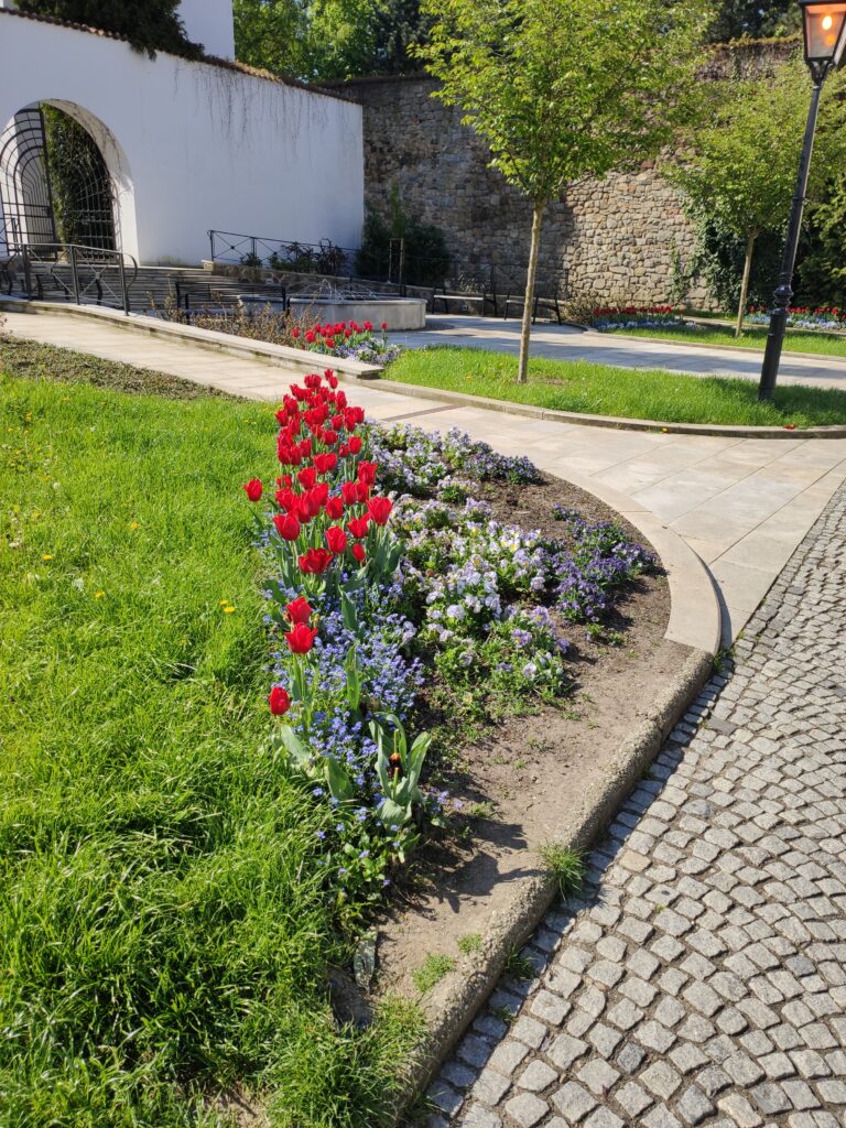 Kvetoucí záhon trvalek a cibulovin u Žerotínského zámku