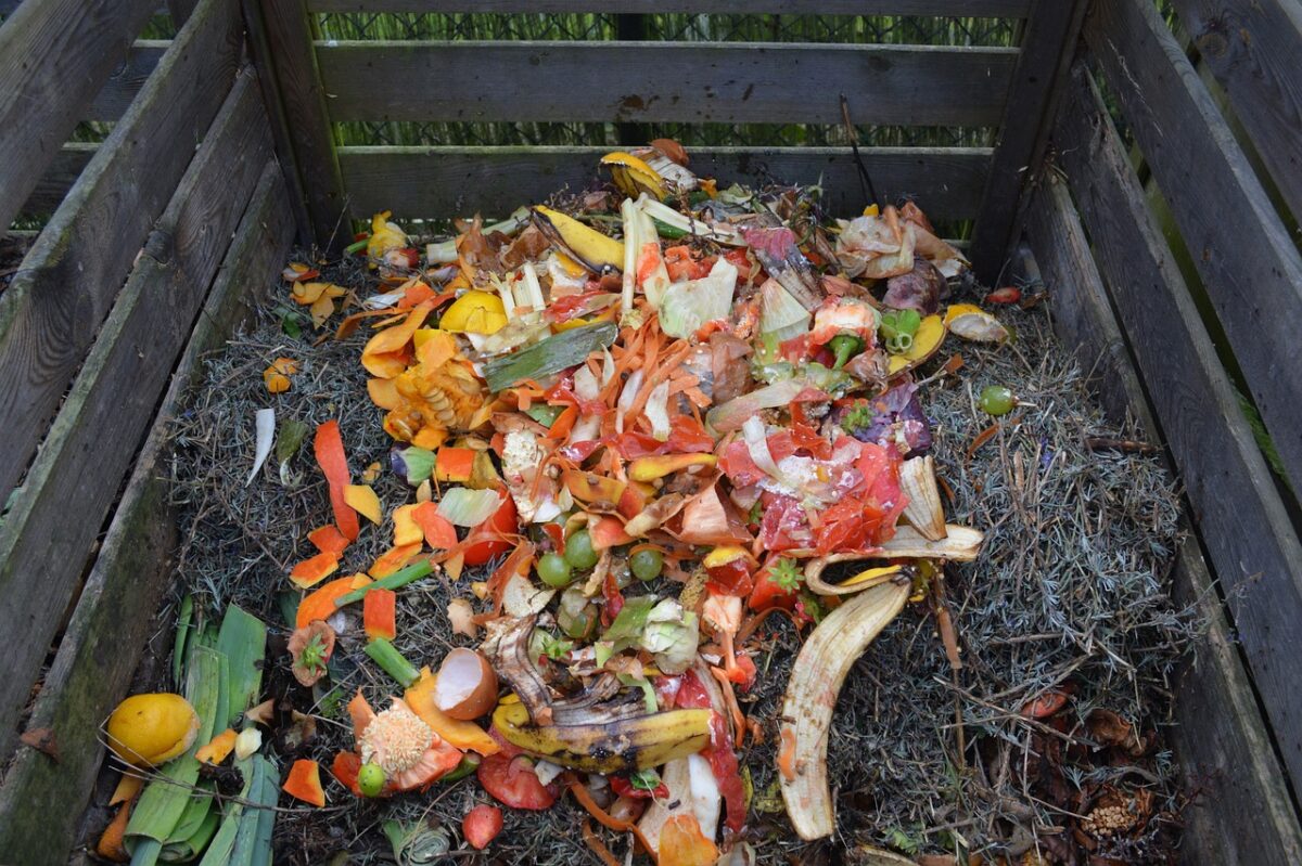 rostlinný odpad na hromadě v kompostéru
