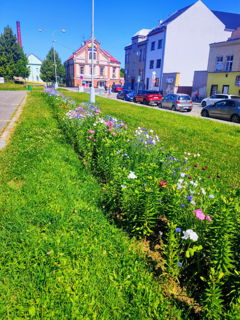 Kvetoucí letničky a dvouletky v liliovém záhonu