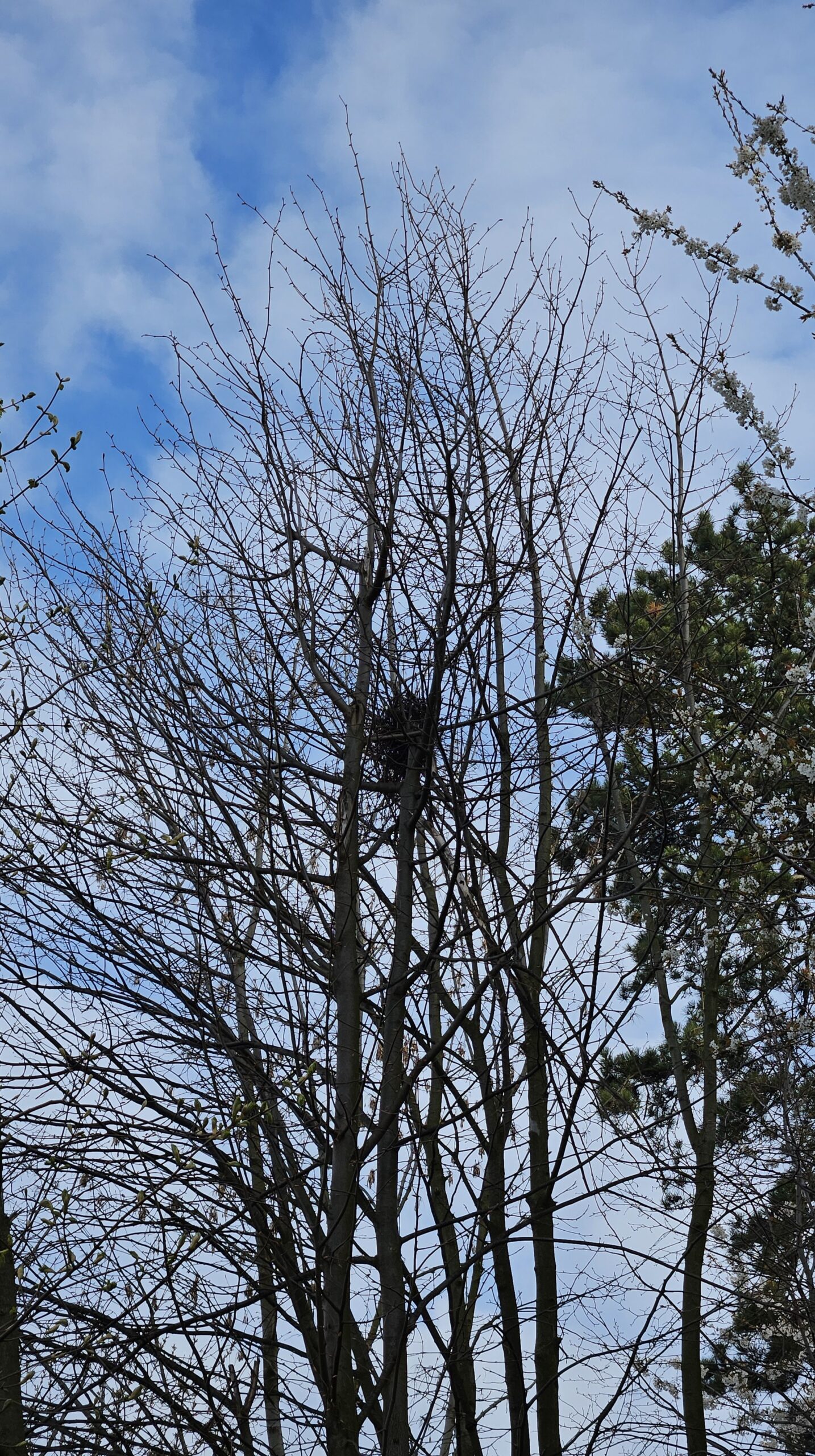 Vítání ptačího zpěvu 2026