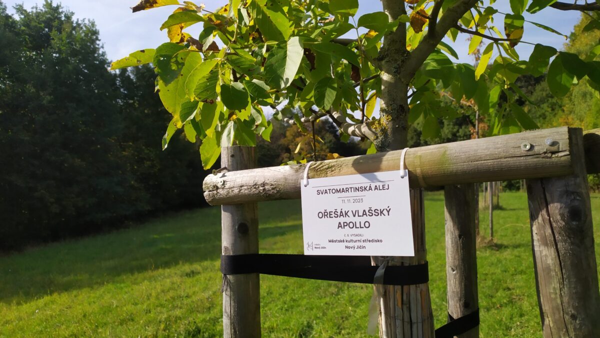 Svatomartinská alej