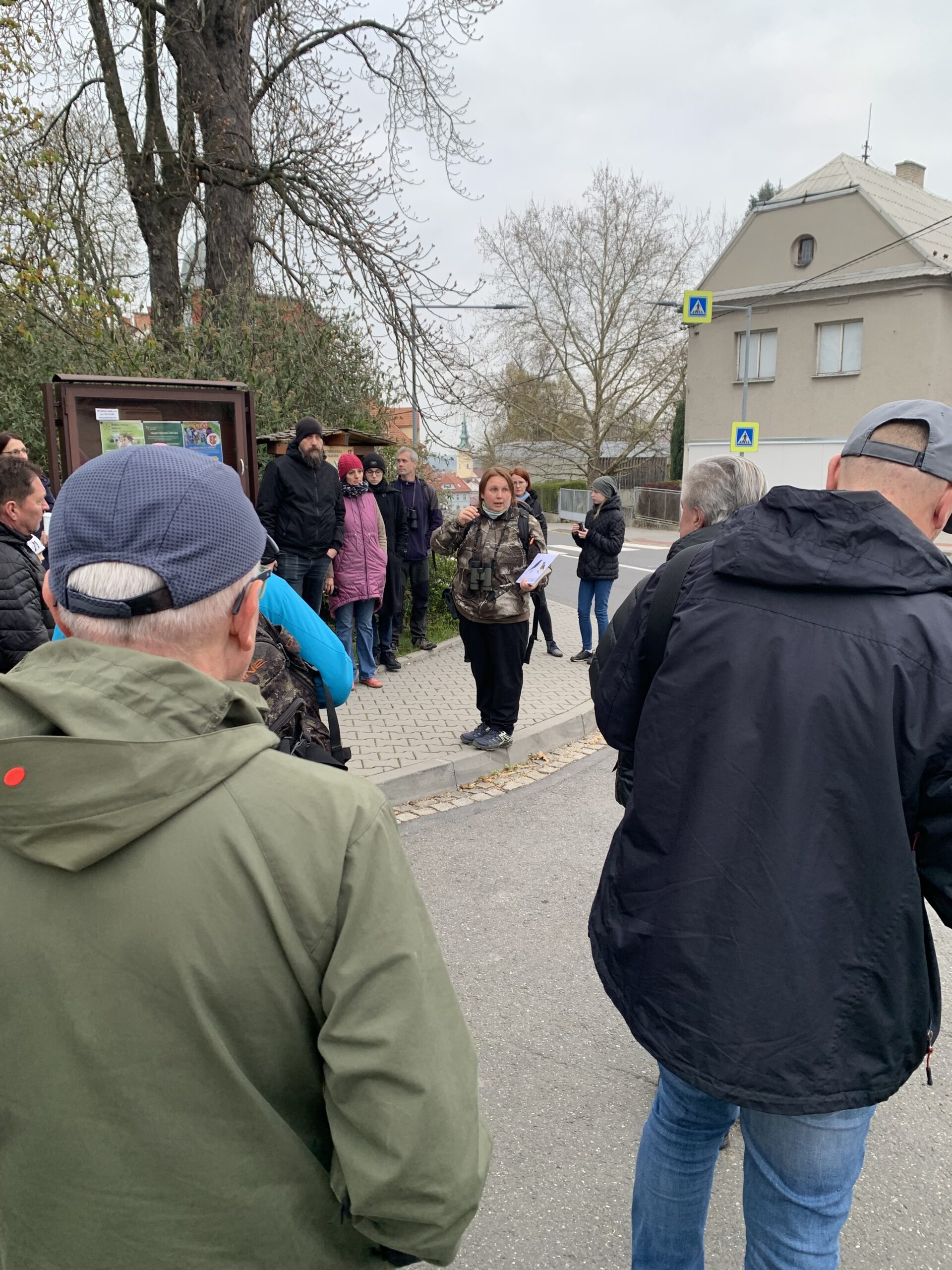 Jaro foto 1